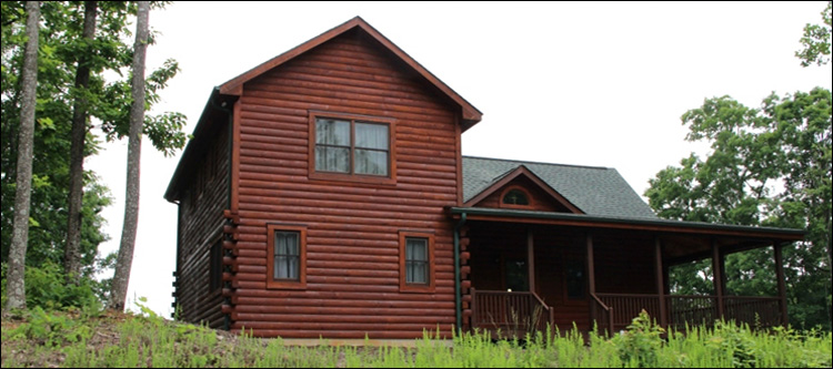 Professional Log Home Borate Application  Radford City, Virginia